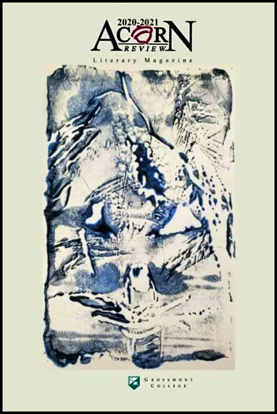 a grey book cover with blue and beige art work