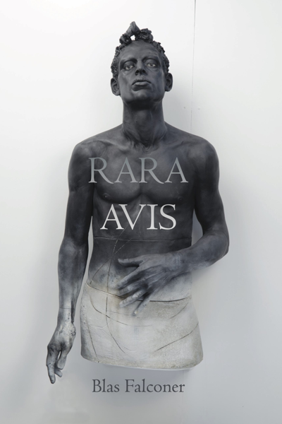 a black and white book cover for “Rara Avis” by Blas Falconer, with a shirtless, darkly statuesque staring ahead